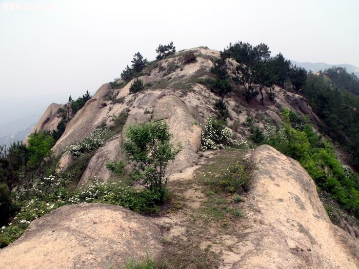 DSCF0512.JPG