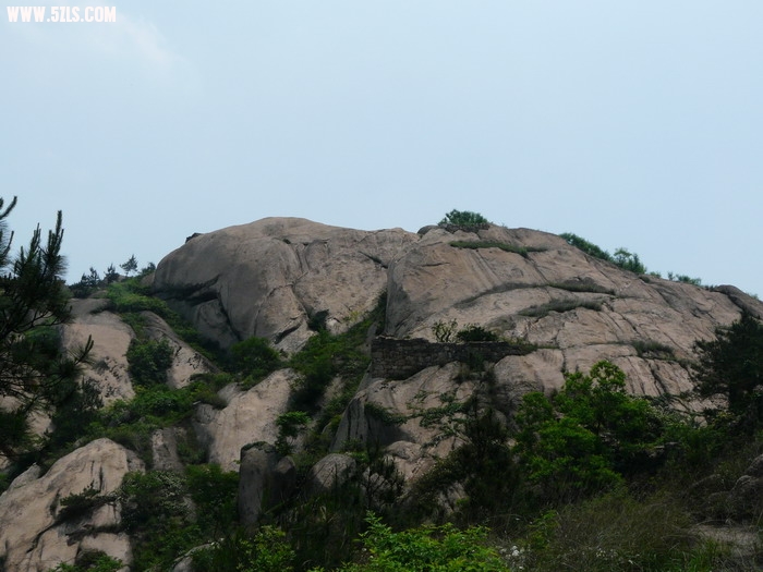 P1130686a.jpg