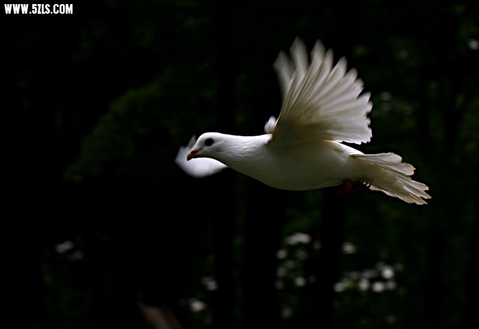 20105102174640823.jpg