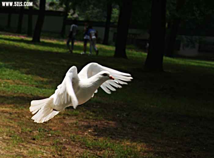 20106221415320534.jpg