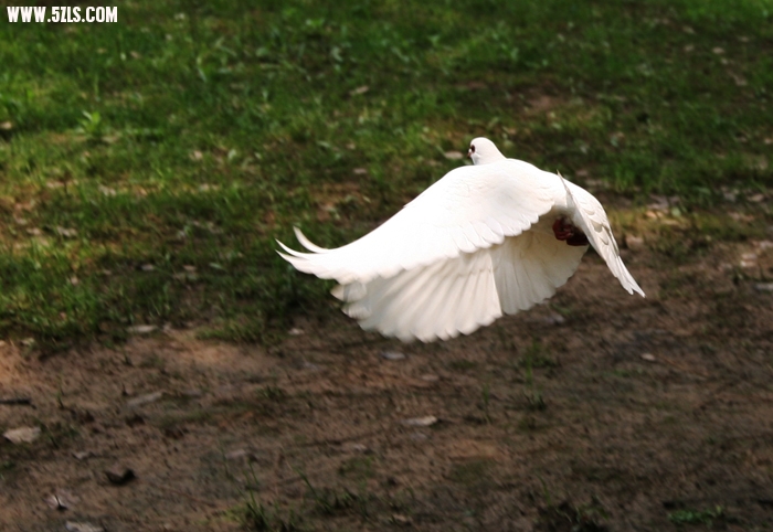 20106221405635673.jpg