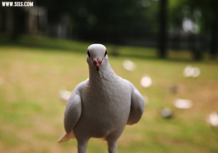 20106221421697243.jpg