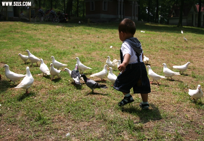 201053115275423394.jpg