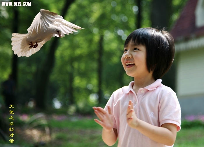 1006030938e7a1ab285d93a7b8.jpg