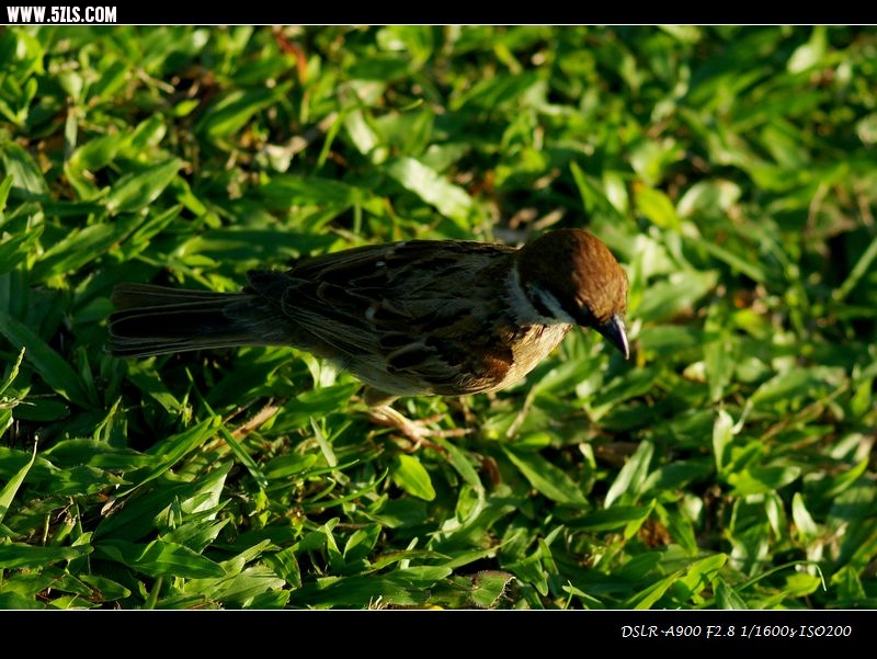 DSC00324.jpg