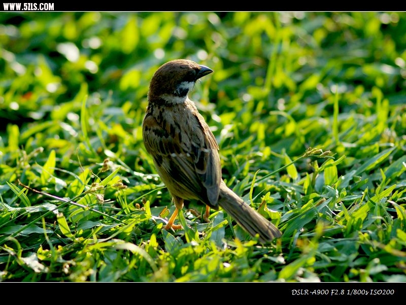 DSC00331.jpg