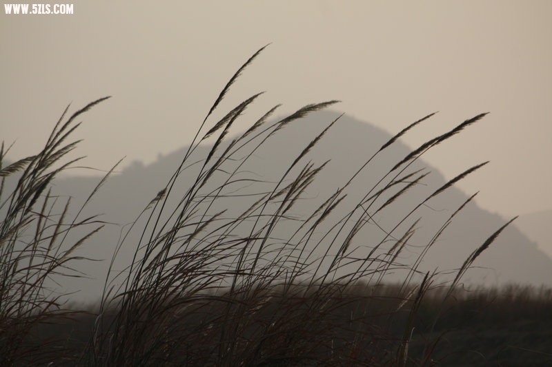 风景