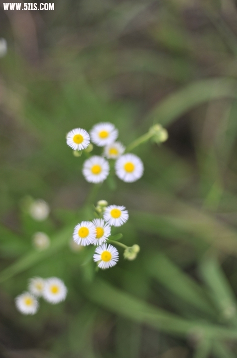 2010껬ʯˮ025.jpg