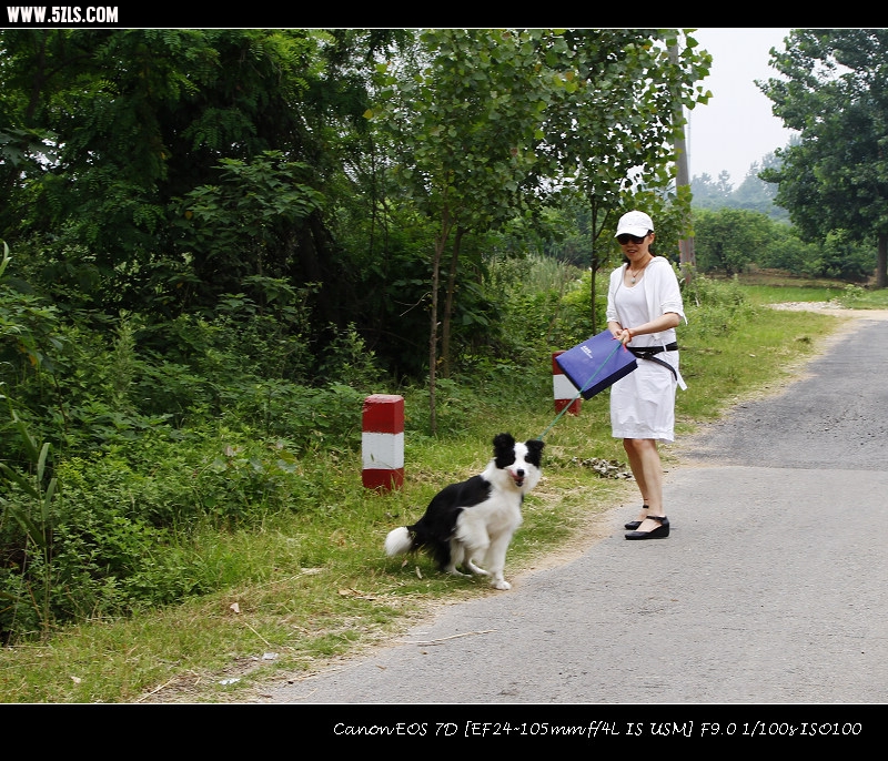 Ƭ 009.jpg