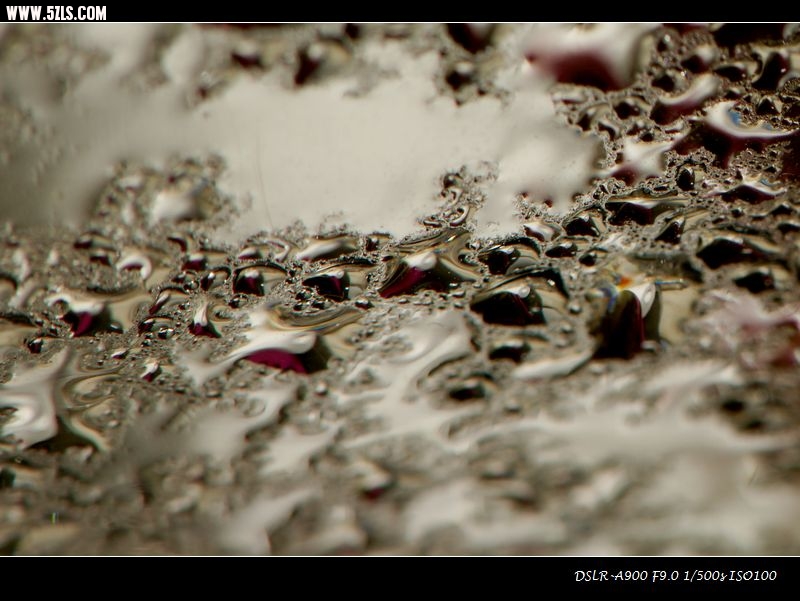 DSC00617-1.jpg