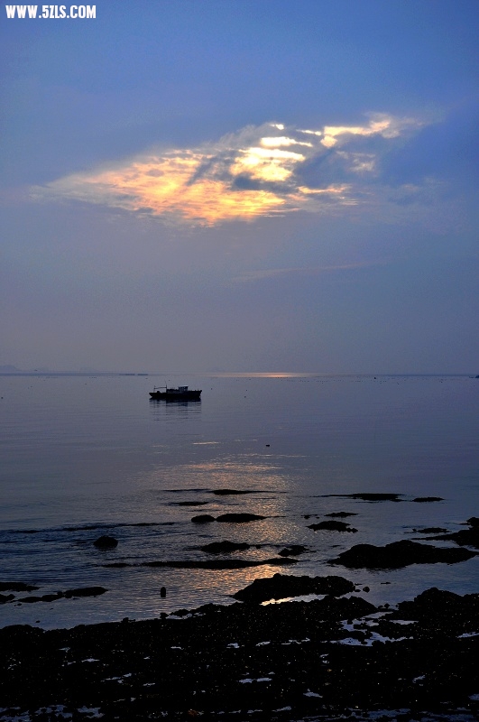 DSC_0082_neo_bak.jpg