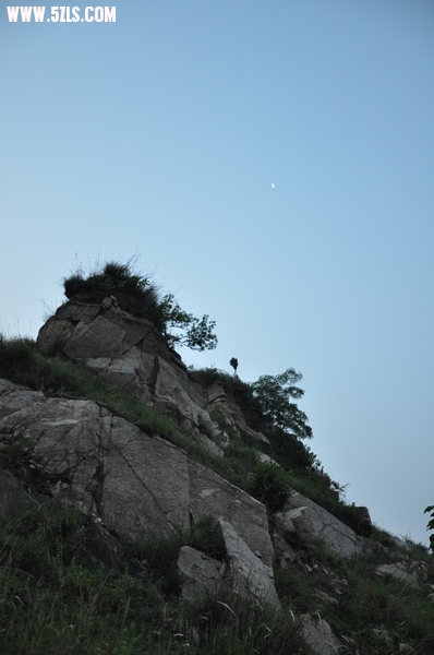 DSC_0118-1.jpg