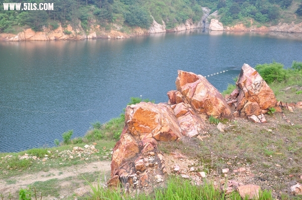DSC_0146-1.jpg