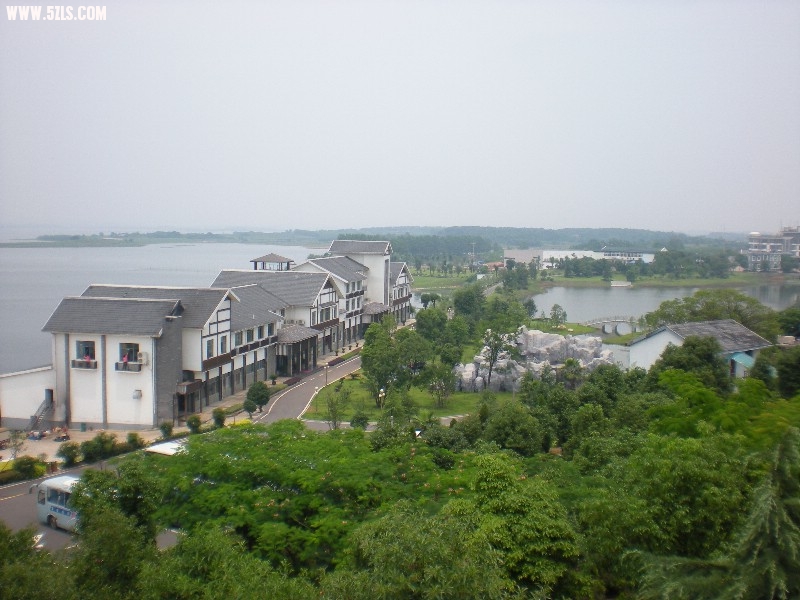 Ƭ 217.jpg