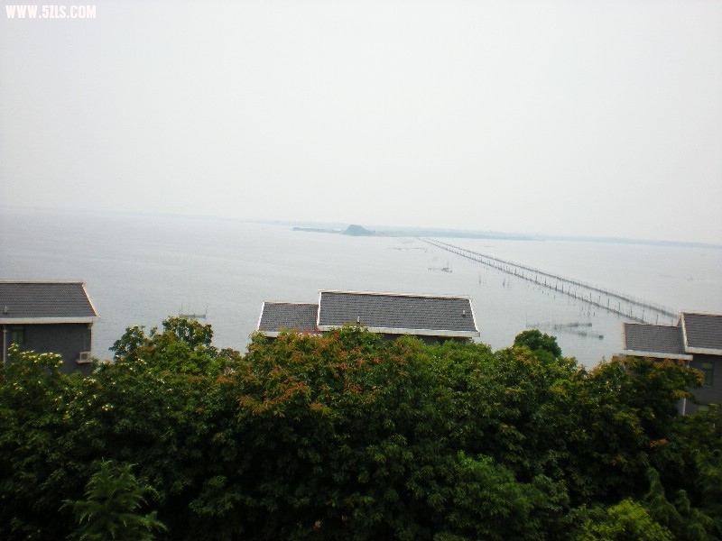Ƭ 215.jpg