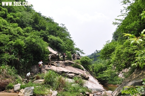 DSC_0261-1.jpg