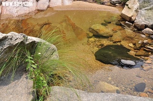 DSC_0262-1.jpg
