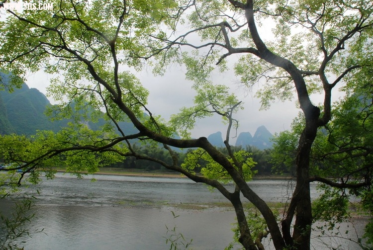 DSC_0110.jpg