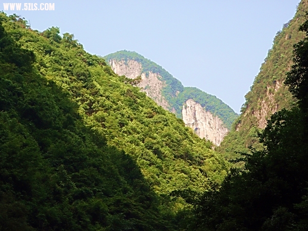 P6140106-1.jpg