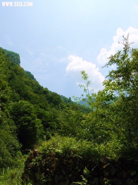 P6140180-1.jpg