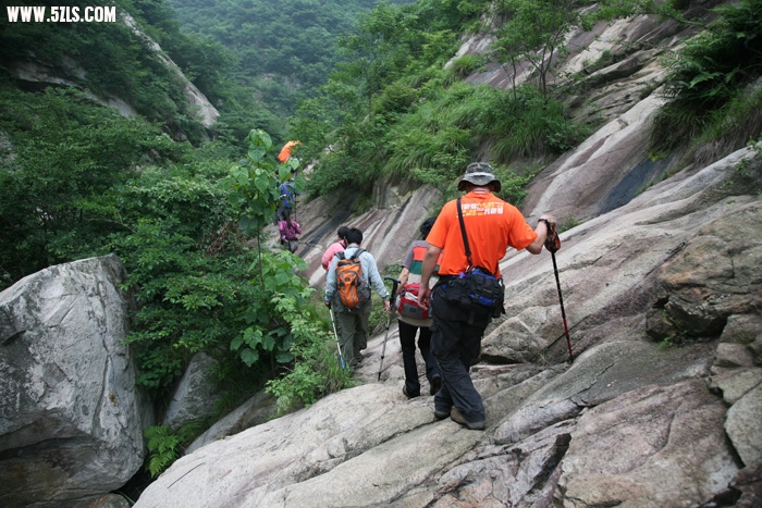 Ƭ 049.jpg