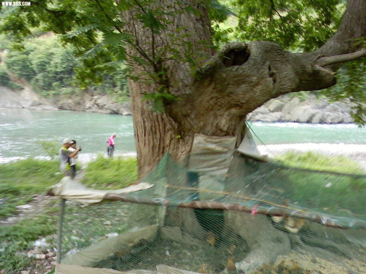 PIC-0030.jpg
