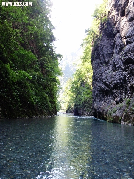 P6140256-1.jpg