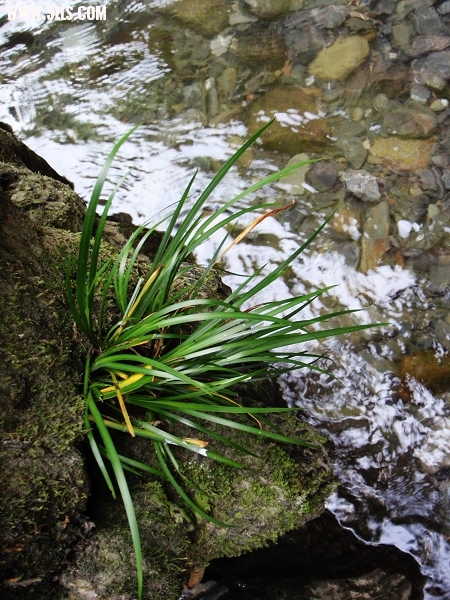 P6140264-1.jpg