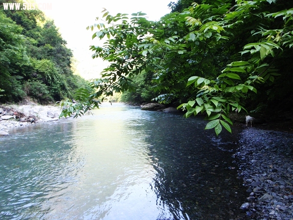 P6140307-1.jpg