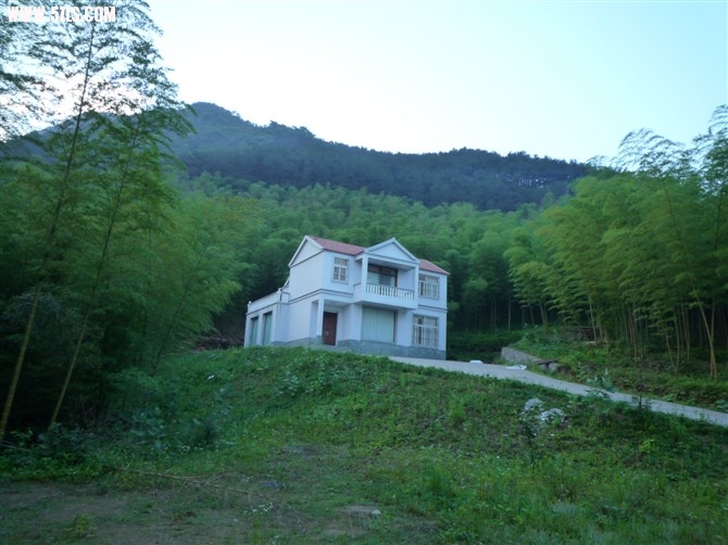 59.jpg