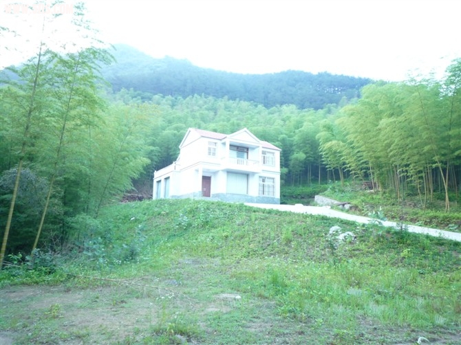 58.jpg