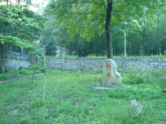 51.jpg