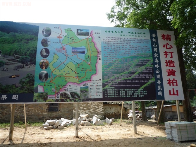 79.jpg