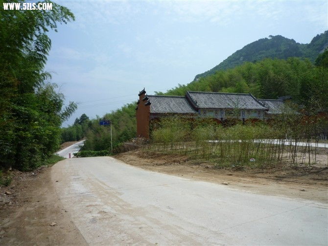 78.jpg