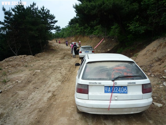 95.jpg