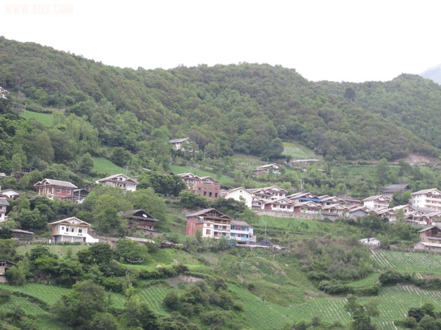 IMG_0486_С.JPG