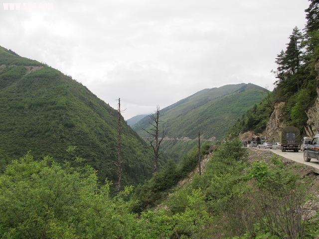 IMG_0513_С.JPG