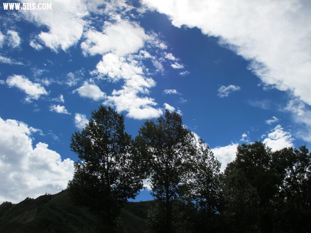 IMG_0735_С.JPG