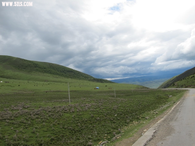 IMG_0721_С.JPG