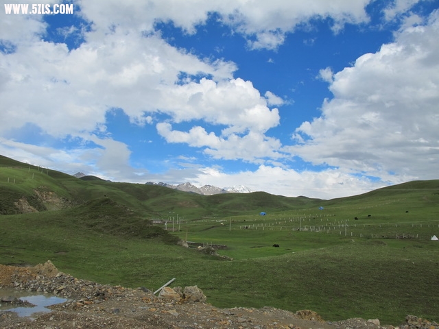 IMG_0753_С.JPG