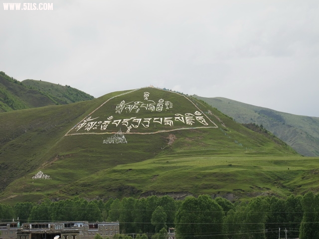 IMG_0759_С.JPG