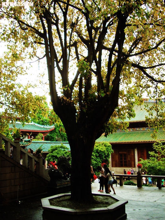 nEO_IMG_nEO_IMG_DSC04777.jpg