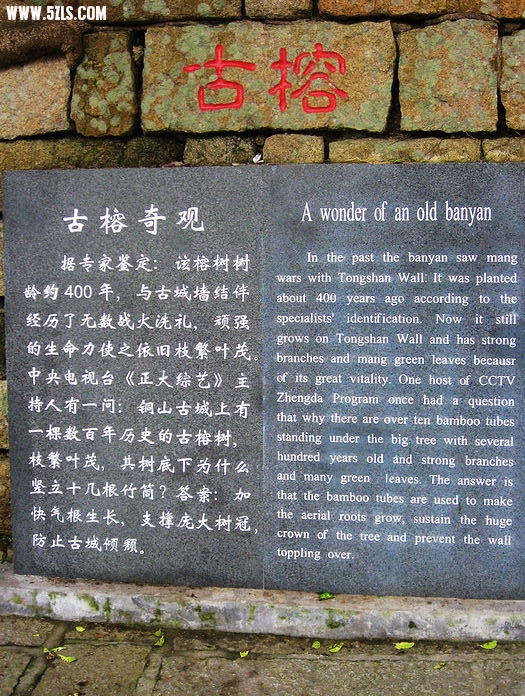 nEO_IMG_nEO_IMG_IMG_2716.jpg