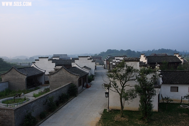 IMG_9495.JPG