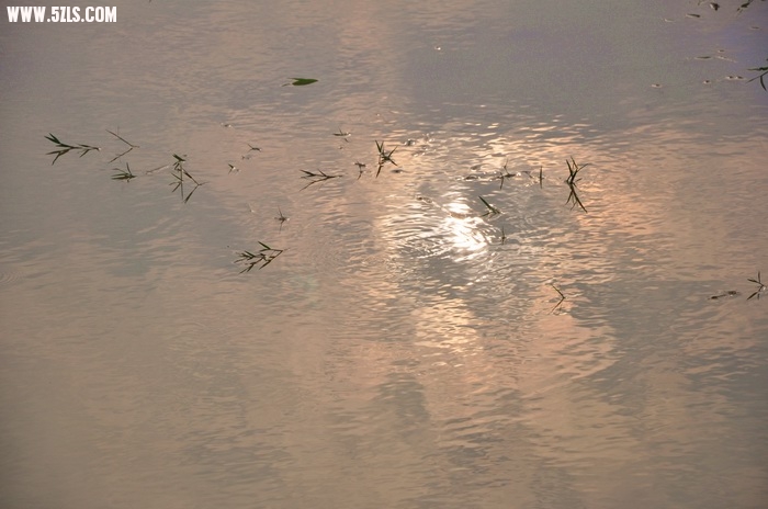 DSC_0156-1.jpg
