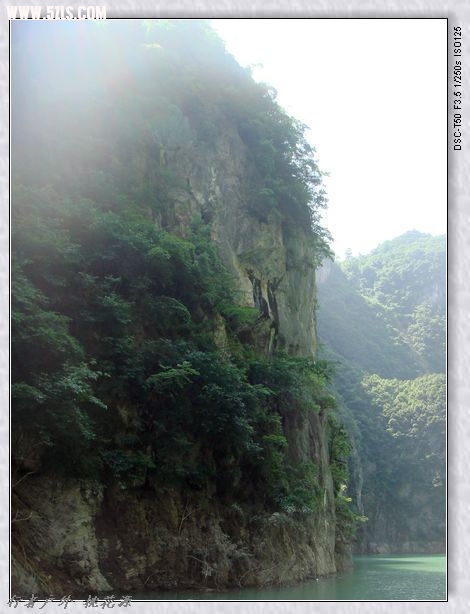 DSC08098.jpg
