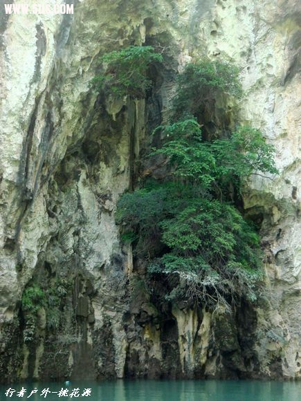 DSC08102.jpg