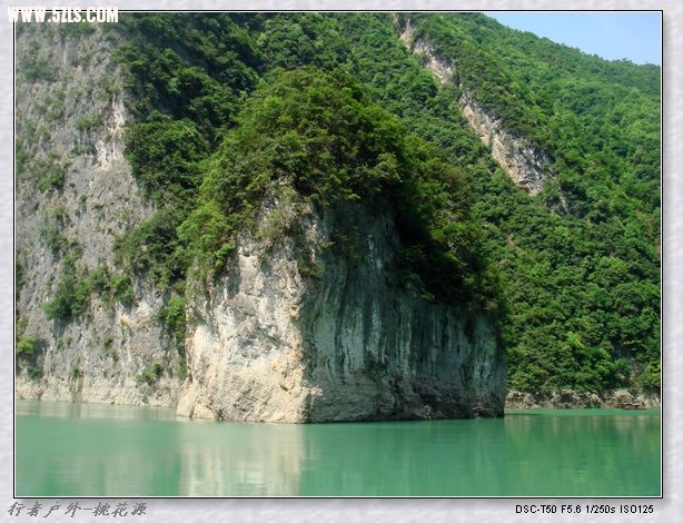 DSC08104.jpg