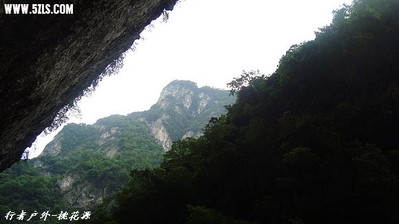 DSC03124.jpg