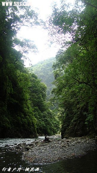 DSC03138.jpg